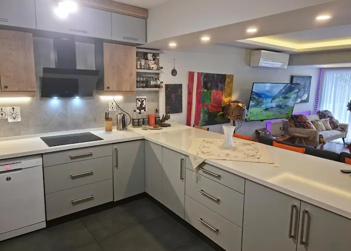 House 公寓 伊兹密尔